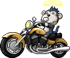 Biker Monkey