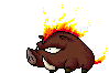 Fire Boar