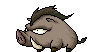 Wild Boar
