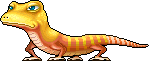 Yellow Lizard